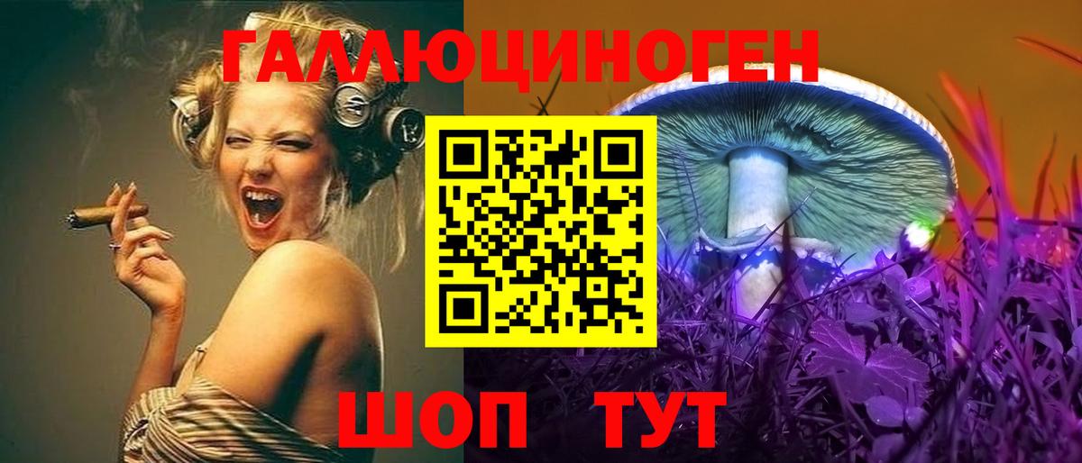 Псилоцибиновые грибы прущие грибы Баксан