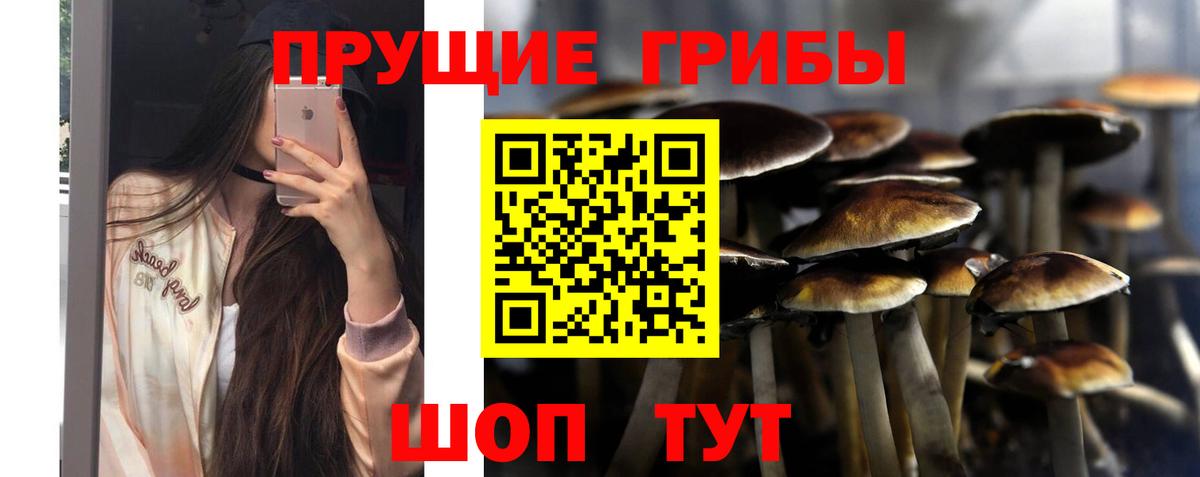 Баксан  Галлюциногенные грибы MAGIC MUSHROOMS  Галлюциногенные грибы Psilocybe  Вход с VPN 