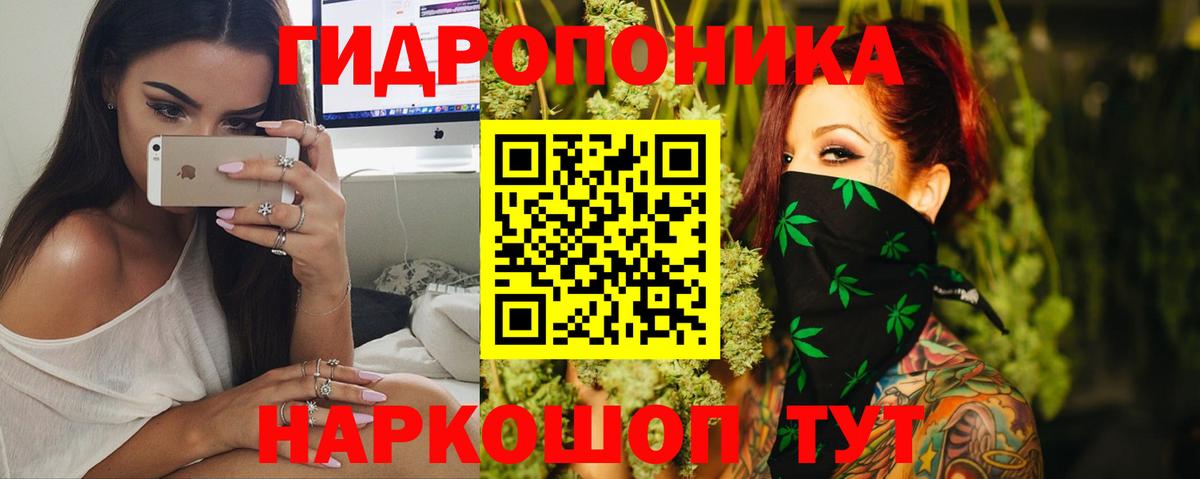 Каннабис White Widow  Вход с VPN  Марихуана LSD WEED  Баксан  Марихуана Bruce Banner  Конопля AK-47 
